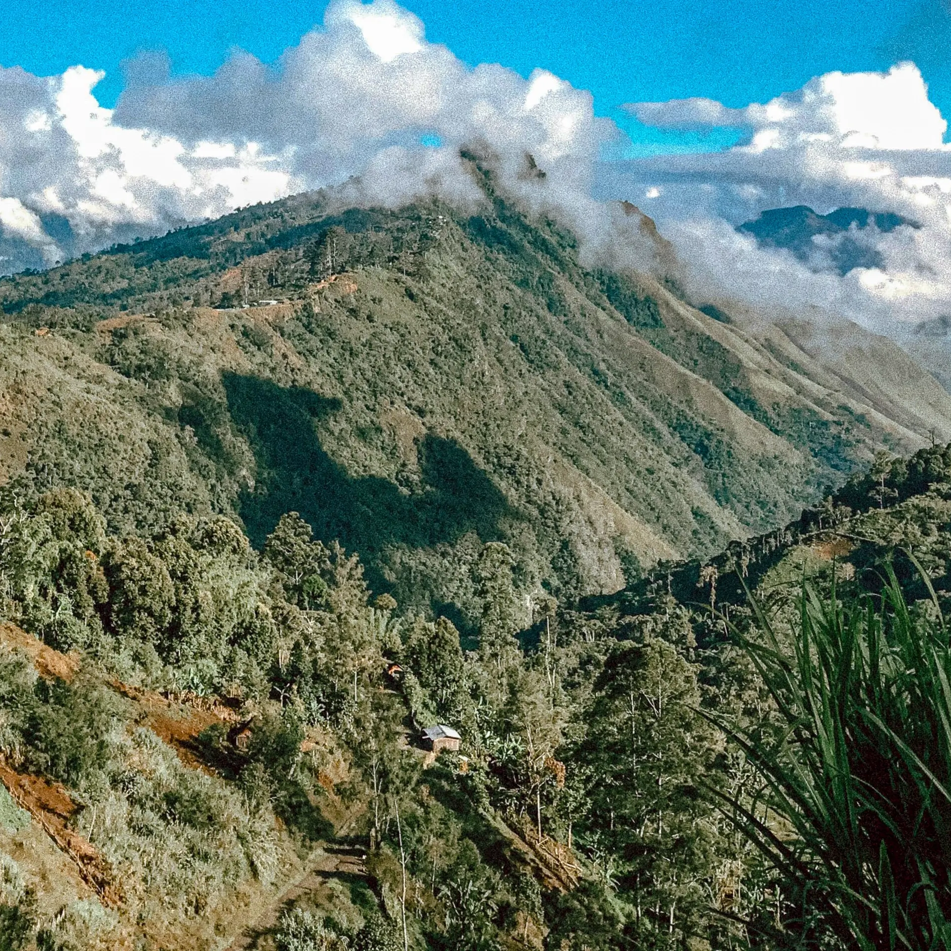 A boat in a serene mountainous river with lots of greenery.