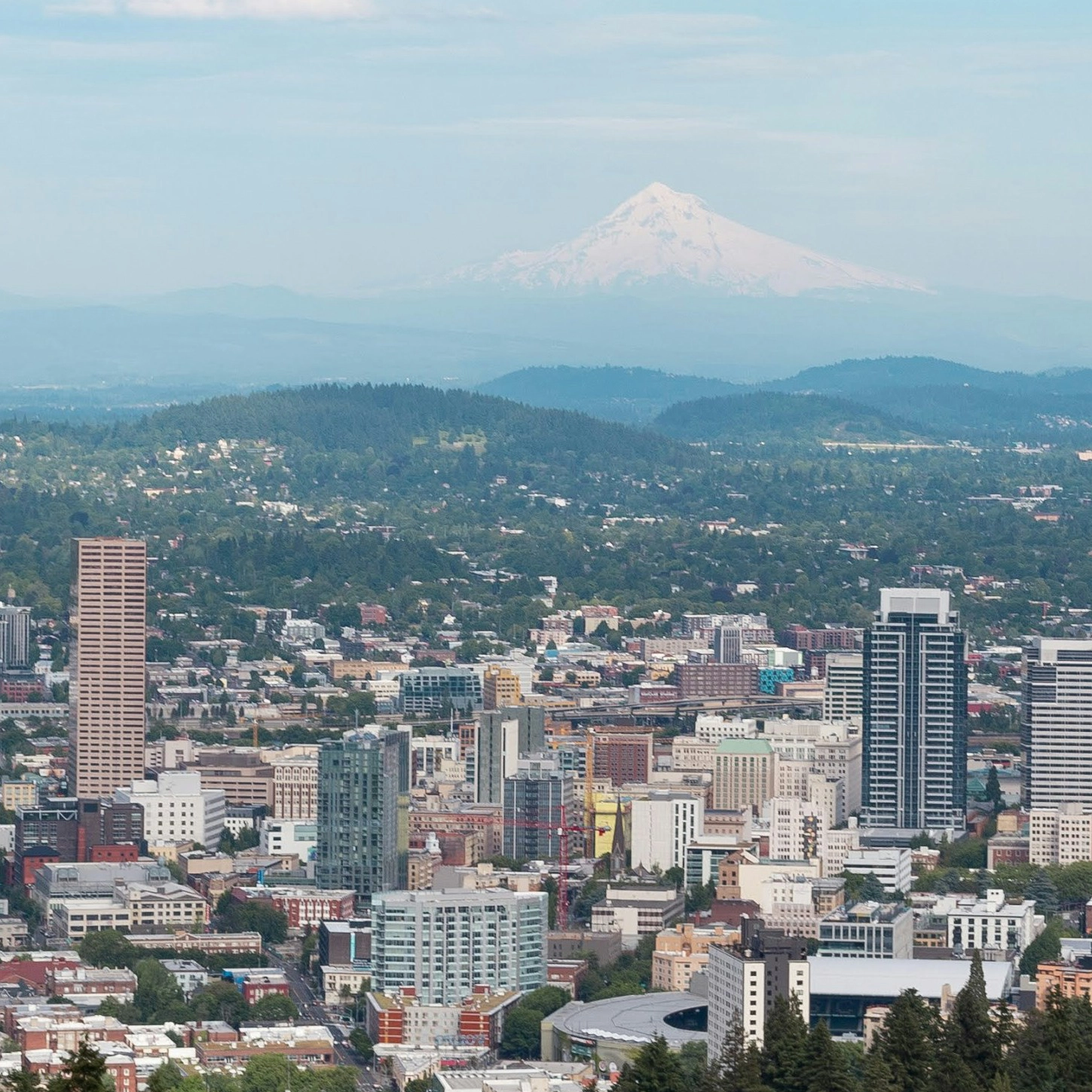 Downtown portland with a mountain in the background